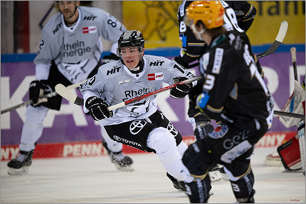 PENNY DEL 1 - Playoff Viertelfinale; Fischtown Pinguins Bremerhaven - Kölner Haie; Bremerhaven, 16.03.2025