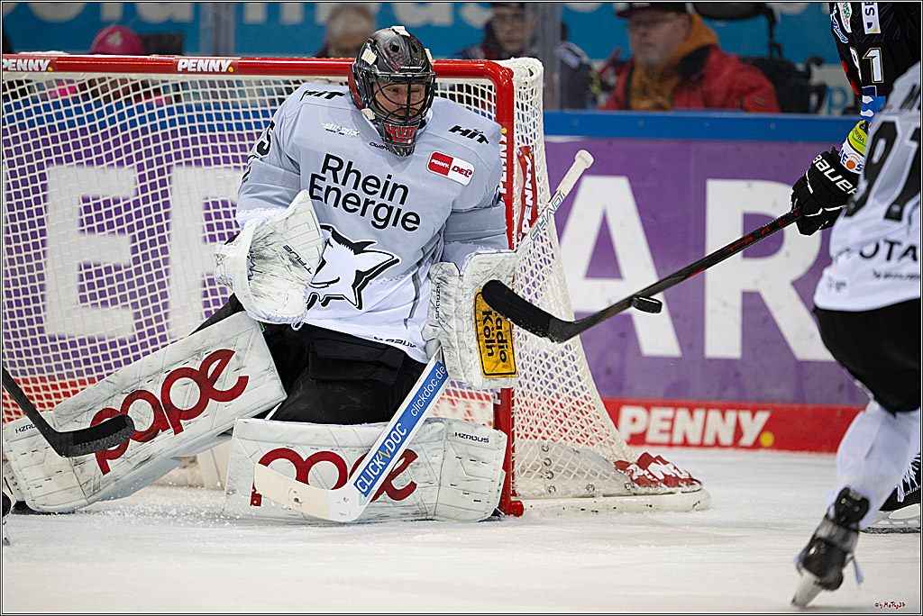 PENNY DEL 1 - Playoff Viertelfinale; Fischtown Pinguins Bremerhaven - Kölner Haie; Bremerhaven, 16.03.2025