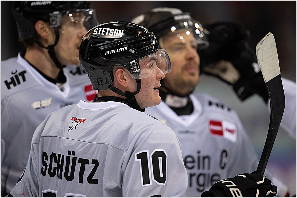 PENNY DEL 1 - Playoff Viertelfinale; Fischtown Pinguins Bremerhaven - Kölner Haie; Bremerhaven, 16.03.2025