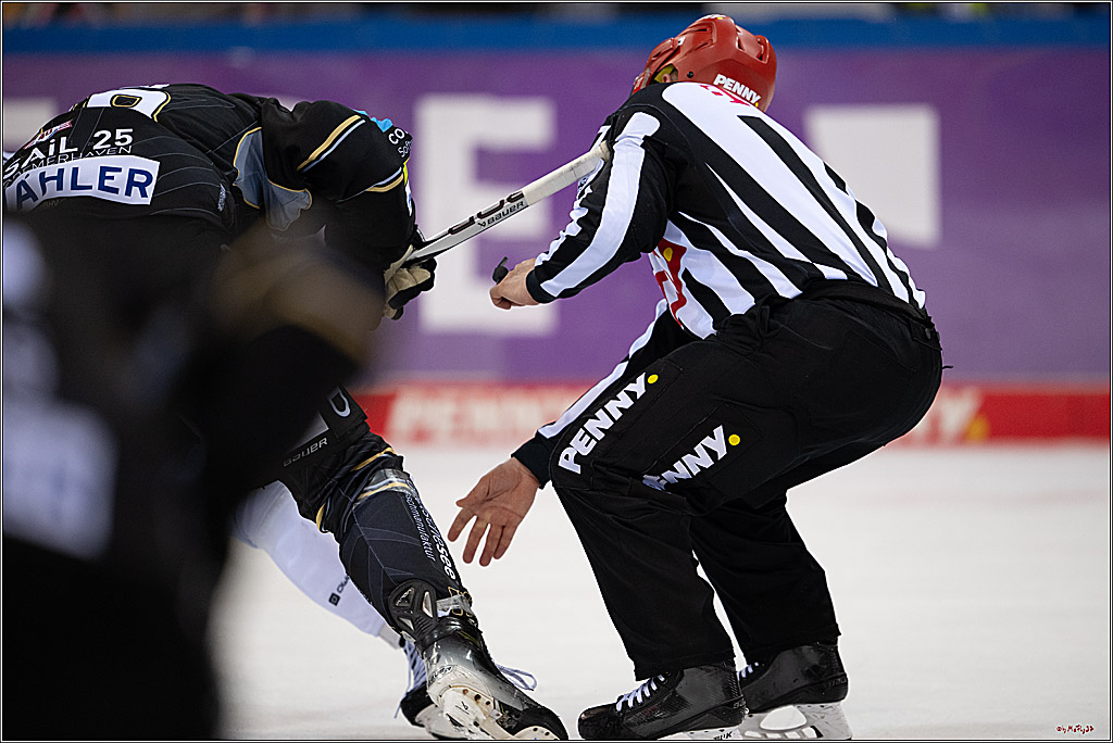 PENNY DEL 1 - Playoff Viertelfinale; Fischtown Pinguins Bremerhaven - Kölner Haie; Bremerhaven, 16.03.2025