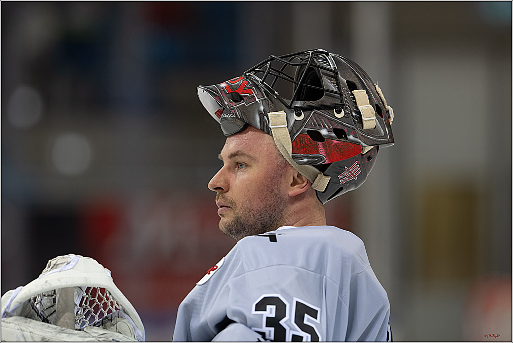 PENNY DEL 1 - Playoff Viertelfinale; Fischtown Pinguins Bremerhaven - Kölner Haie; Bremerhaven, 16.03.2025