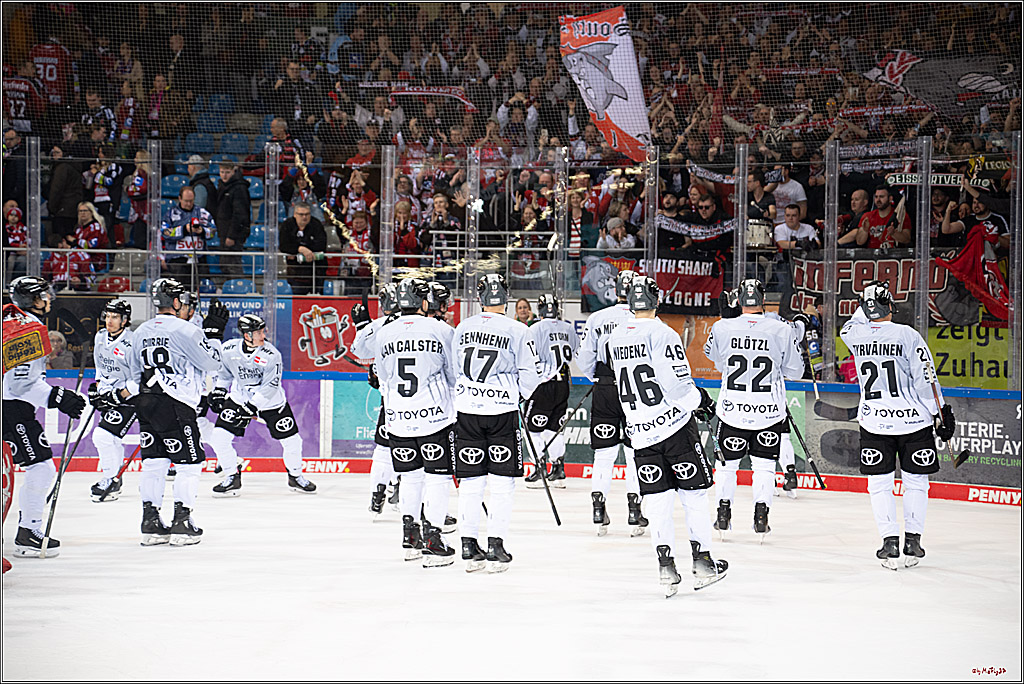 PENNY DEL 1 - Playoff Viertelfinale; Fischtown Pinguins Bremerhaven - Kölner Haie; Bremerhaven, 16.03.2025