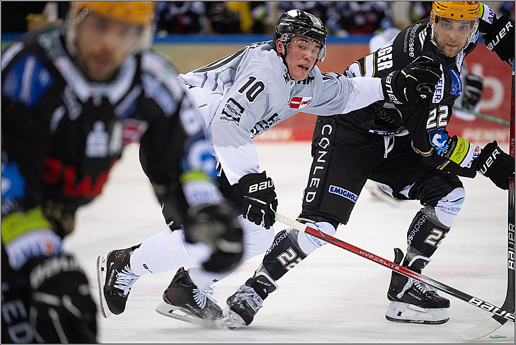PENNY DEL; Fischtown Pinguins-Koelner Haie; Bremerhaven, 16.03.2025