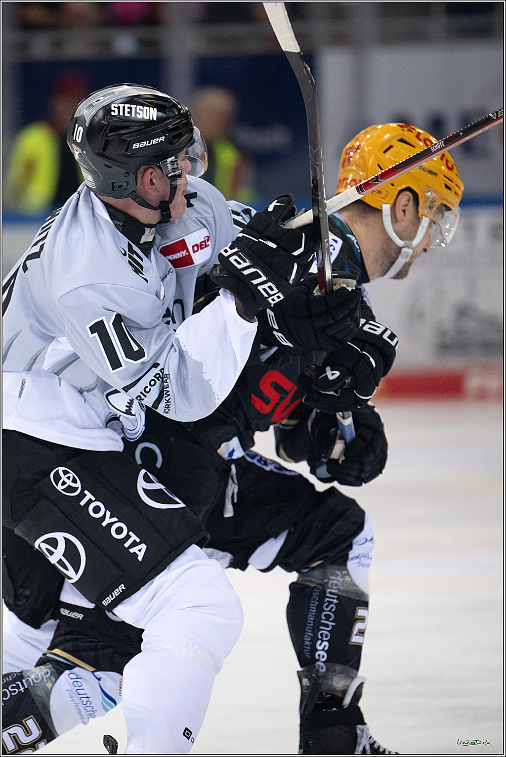 PENNY DEL; Fischtown Pinguins-Koelner Haie; Bremerhaven, 16.03.2025