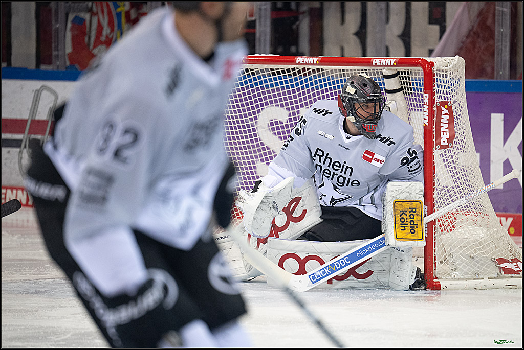 PENNY DEL; Fischtown Pinguins-Koelner Haie; Bremerhaven, 16.03.2025