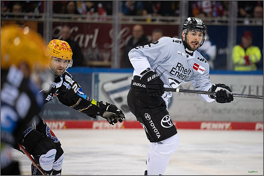 PENNY DEL; Fischtown Pinguins-Koelner Haie; Bremerhaven, 16.03.2025