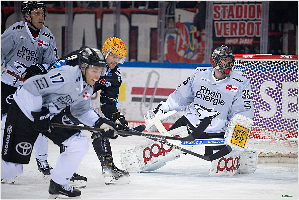 PENNY DEL; Fischtown Pinguins-Koelner Haie; Bremerhaven, 16.03.2025