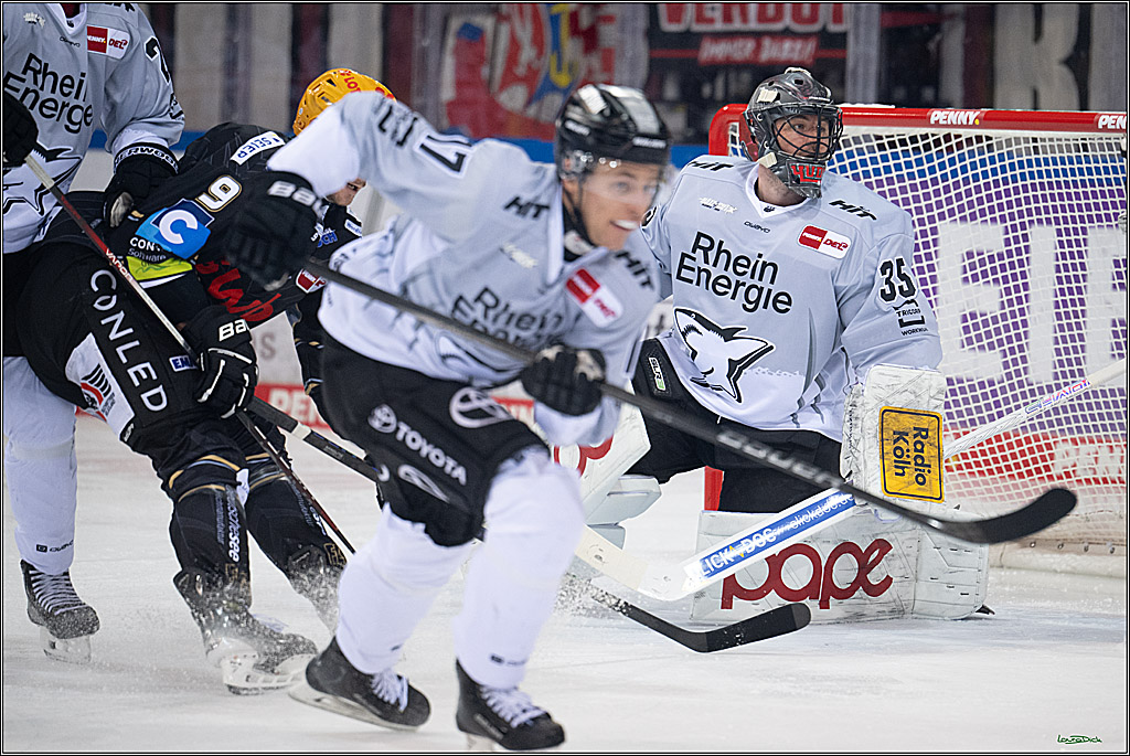 PENNY DEL; Fischtown Pinguins-Koelner Haie; Bremerhaven, 16.03.2025