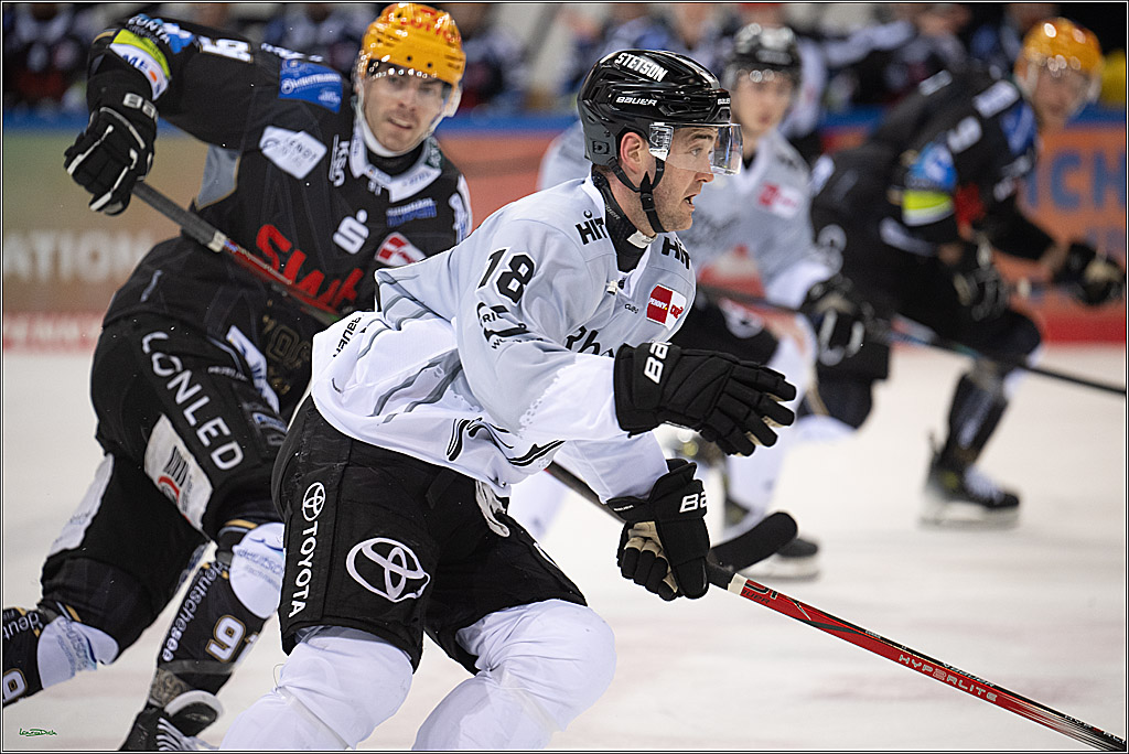PENNY DEL; Fischtown Pinguins-Koelner Haie; Bremerhaven, 16.03.2025