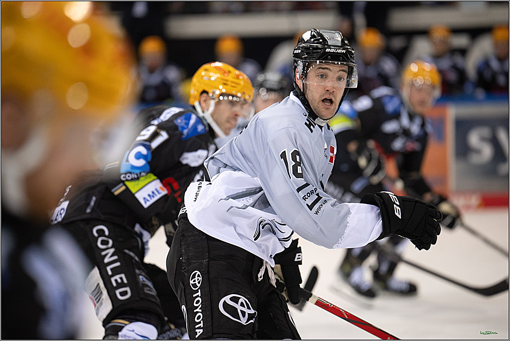 PENNY DEL; Fischtown Pinguins-Koelner Haie; Bremerhaven, 16.03.2025
