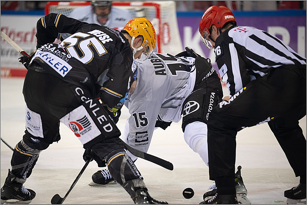 PENNY DEL; Fischtown Pinguins-Koelner Haie; Bremerhaven, 16.03.2025