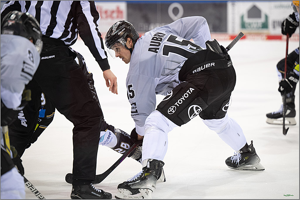 PENNY DEL; Fischtown Pinguins-Koelner Haie; Bremerhaven, 16.03.2025