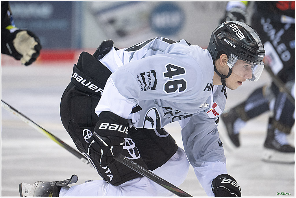 PENNY DEL; Fischtown Pinguins-Koelner Haie; Bremerhaven, 16.03.2025