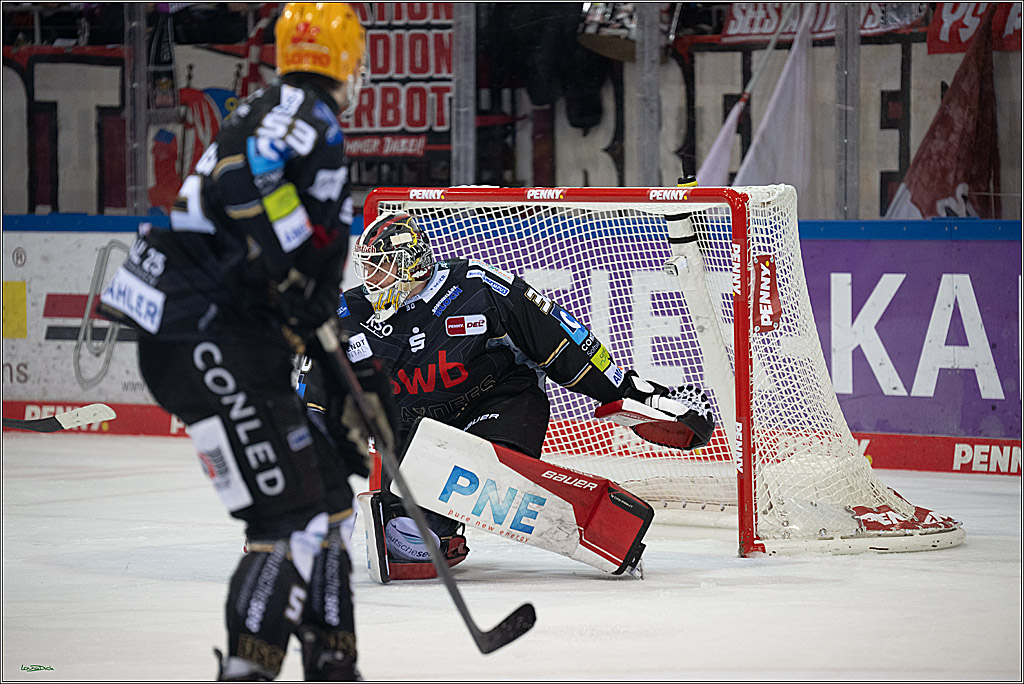 PENNY DEL; Fischtown Pinguins-Koelner Haie; Bremerhaven, 16.03.2025