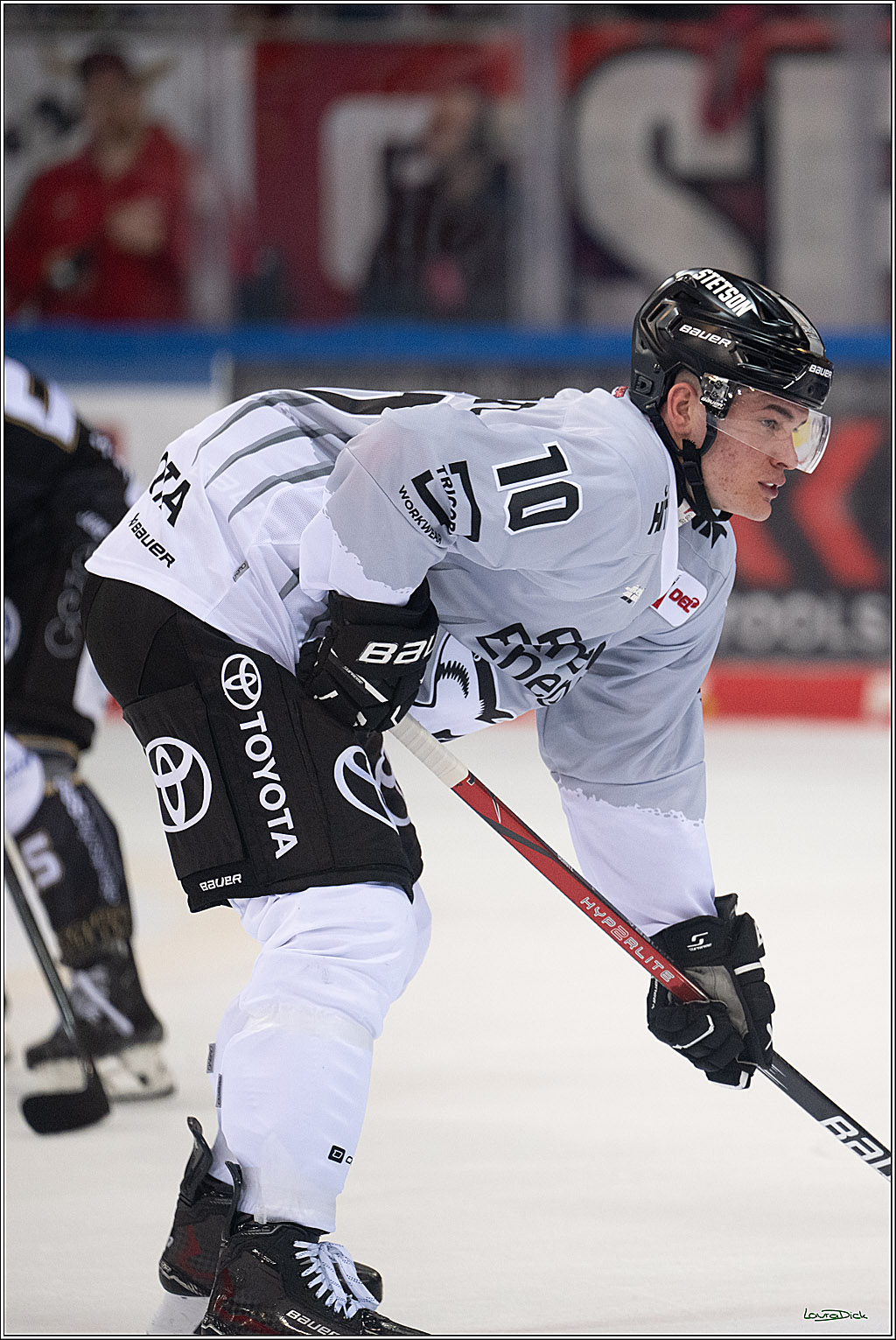 PENNY DEL; Fischtown Pinguins-Koelner Haie; Bremerhaven, 16.03.2025