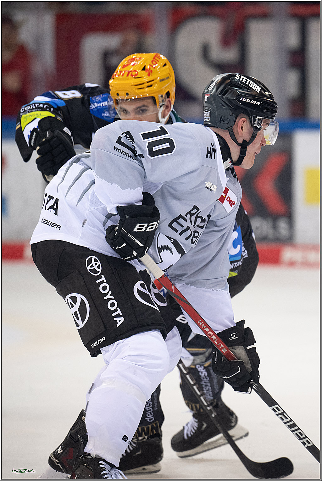 PENNY DEL; Fischtown Pinguins-Koelner Haie; Bremerhaven, 16.03.2025