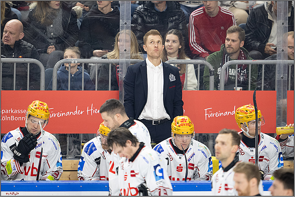 PENNY DEL 1 - Playoff Viertelfinale; Kölner Haie - Fischtown Pinguins Bremerhaven; Köln, 18.03.2025