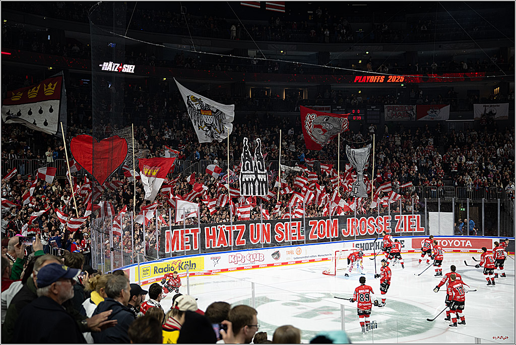 PENNY DEL 1 - Playoff Viertelfinale; Kölner Haie - Fischtown Pinguins Bremerhaven; Köln, 18.03.2025