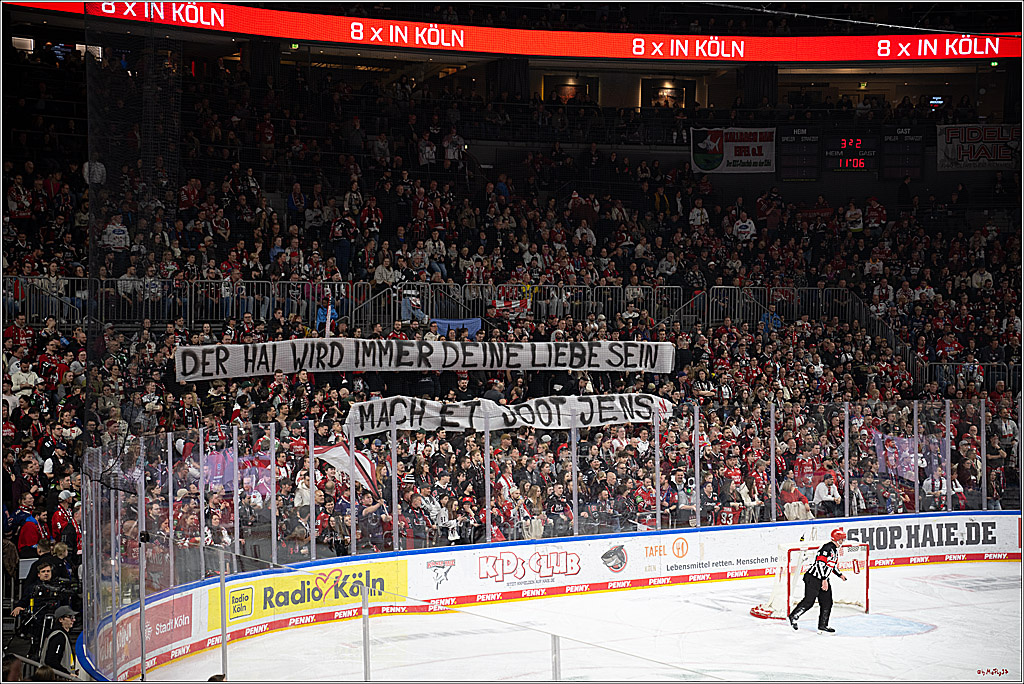 PENNY DEL 1 - Playoff Viertelfinale; Kölner Haie - Fischtown Pinguins Bremerhaven; Köln, 18.03.2025