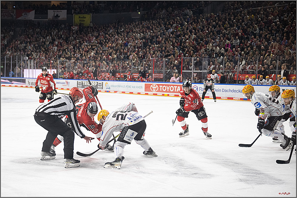 PENNY DEL 1 - Playoff Viertelfinale; Kölner Haie - Fischtown Pinguins Bremerhaven; Köln, 18.03.2025