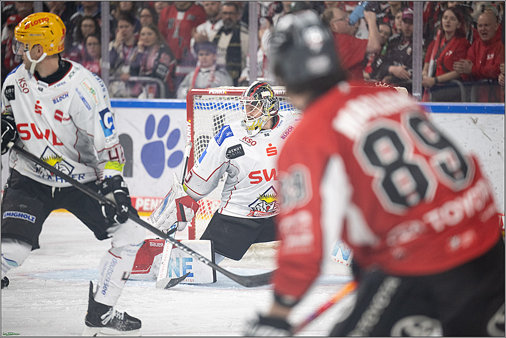 PENNY DEL; Koelner Haie- Fischtown Bremerhaven; Koeln, 18.03.2025