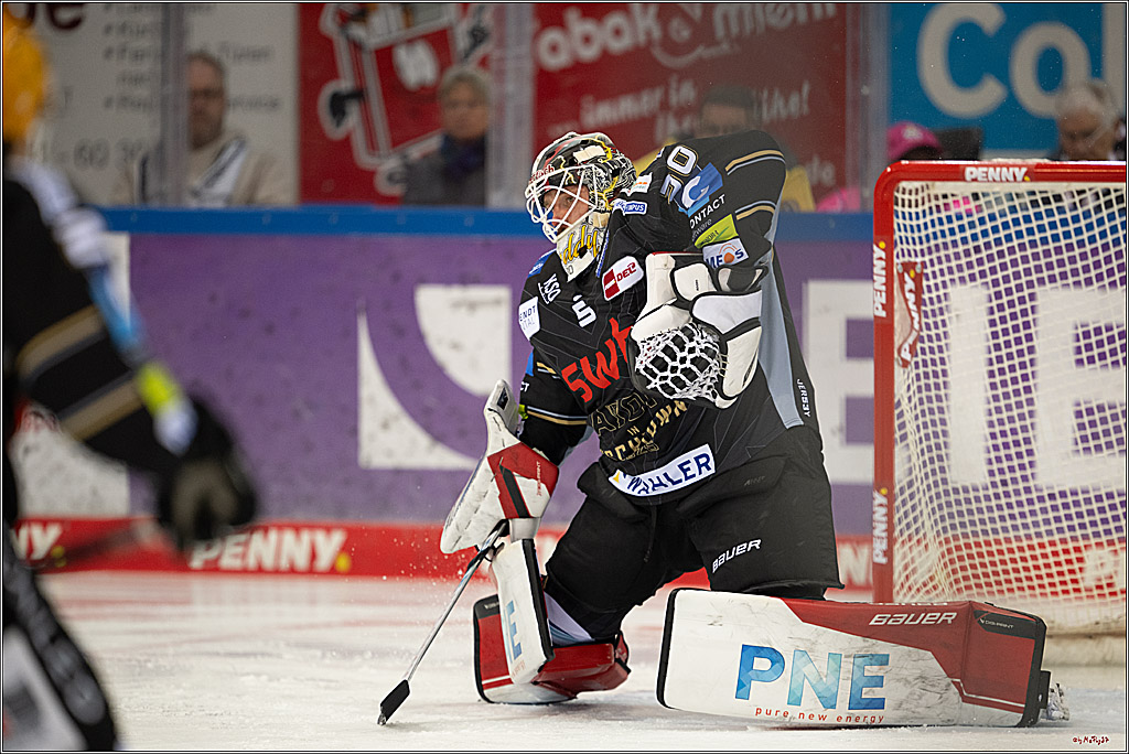 PENNY DEL 1 - Playoff Viertelfinale; Fischtown Pinguins Bremerhaven - Kölner Haie; Bermerhaven, 21.03.2025