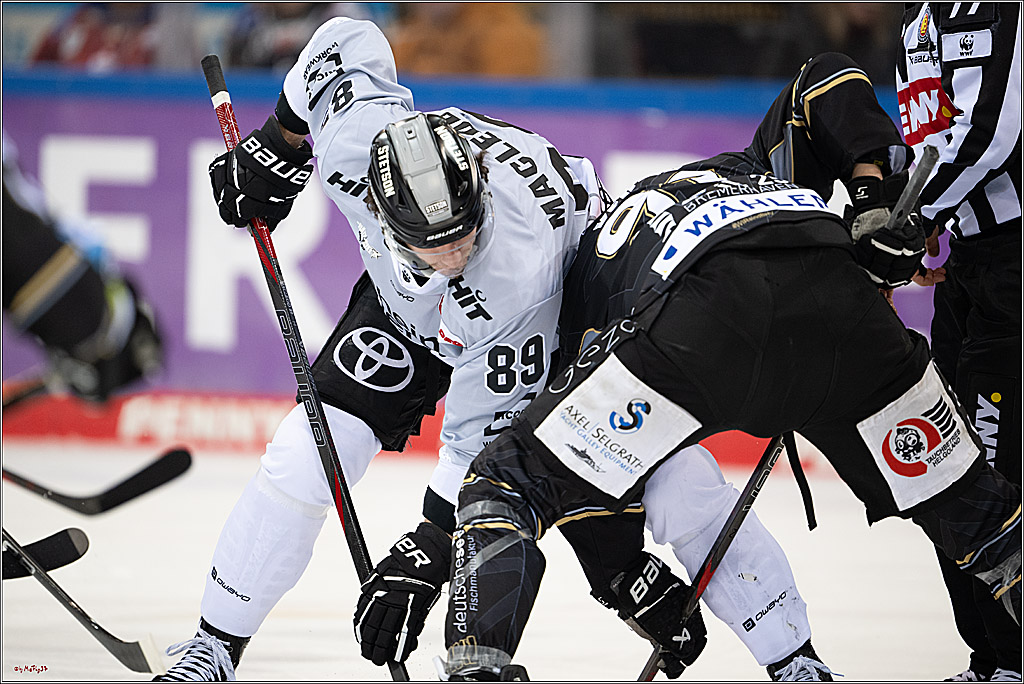 PENNY DEL 1 - Playoff Viertelfinale; Fischtown Pinguins Bremerhaven - Kölner Haie; Bermerhaven, 21.03.2025