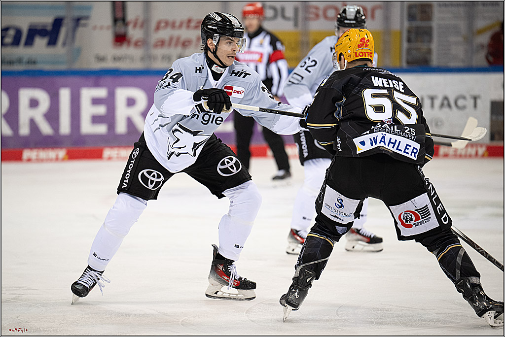 PENNY DEL 1 - Playoff Viertelfinale; Fischtown Pinguins Bremerhaven - Kölner Haie; Bermerhaven, 21.03.2025