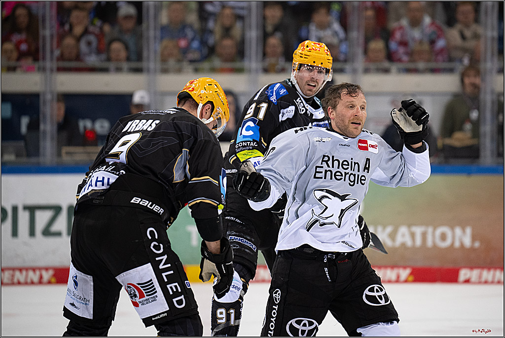 PENNY DEL 1 - Playoff Viertelfinale; Fischtown Pinguins Bremerhaven - Kölner Haie; Bermerhaven, 21.03.2025