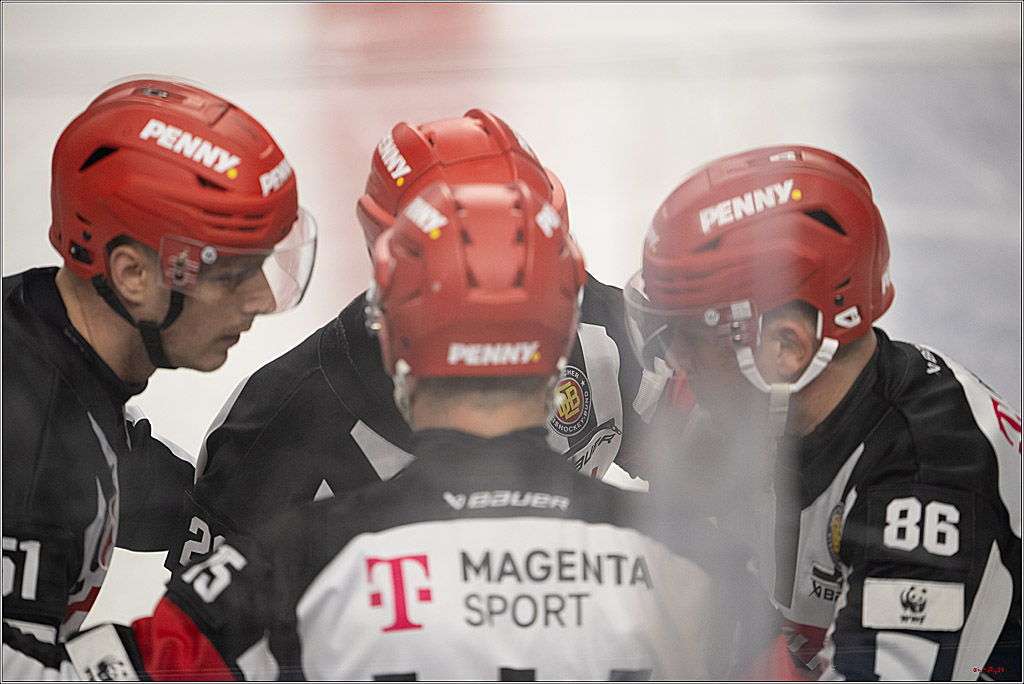 PENNY DEL 1 - Playoff Viertelfinale; Kölner Haie - Fischtown Pinguins Bremerhaven; Köln, 24.03.2025