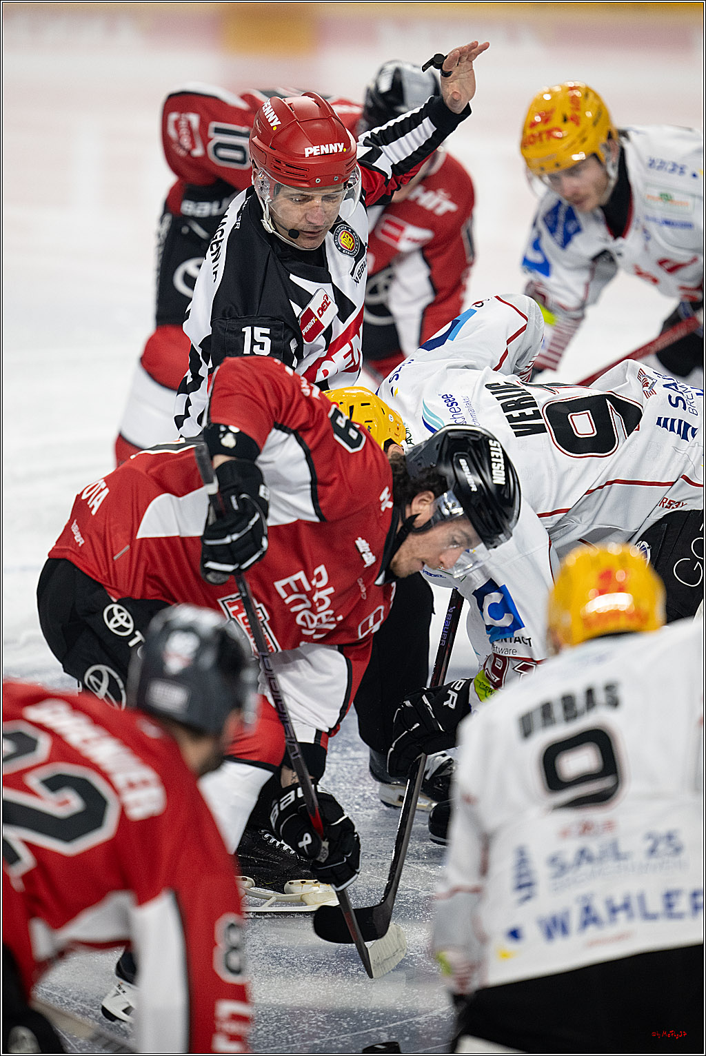 PENNY DEL 1 - Playoff Viertelfinale; Kölner Haie - Fischtown Pinguins Bremerhaven; Köln, 24.03.2025