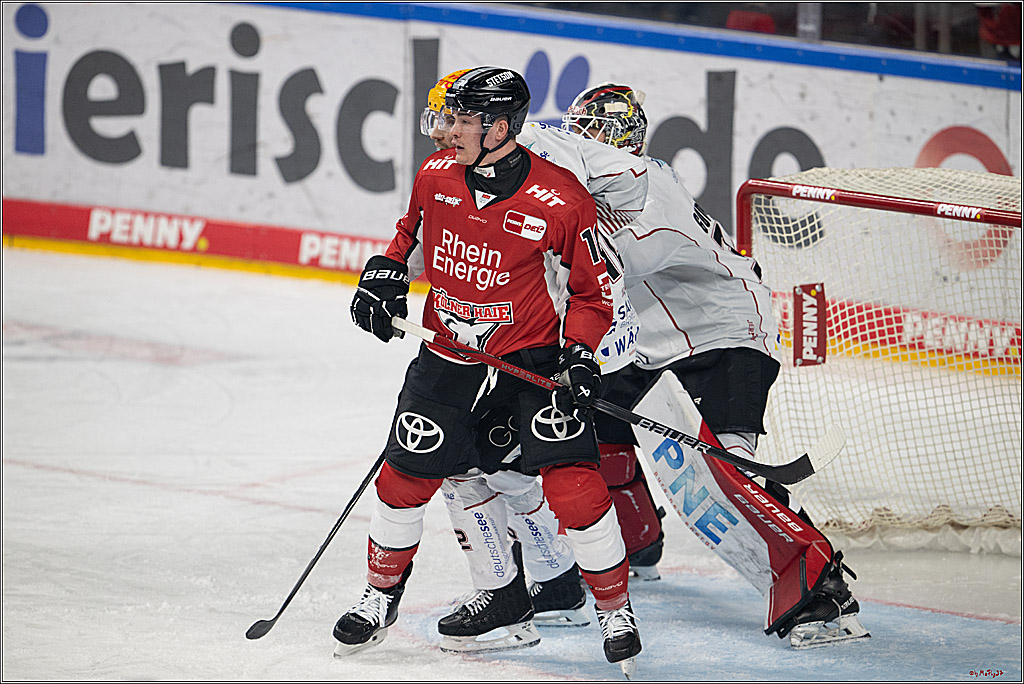PENNY DEL 1 - Playoff Viertelfinale; Kölner Haie - Fischtown Pinguins Bremerhaven; Köln, 24.03.2025