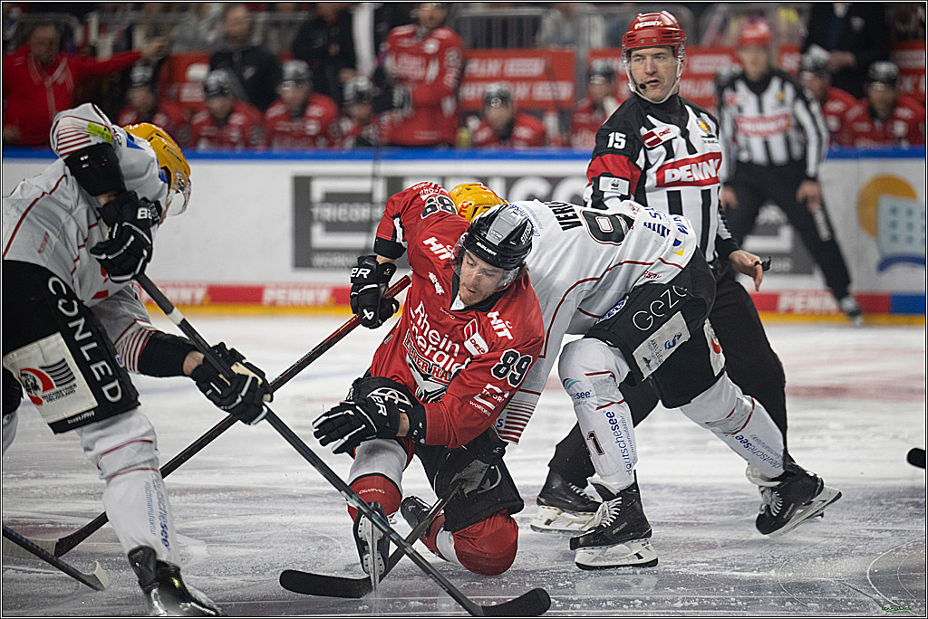PENNY DEL 1 - Playoff Viertelfinale; Kölner Haie - Fischtown Pinguins Bremerhaven; Köln, 24.03.2025