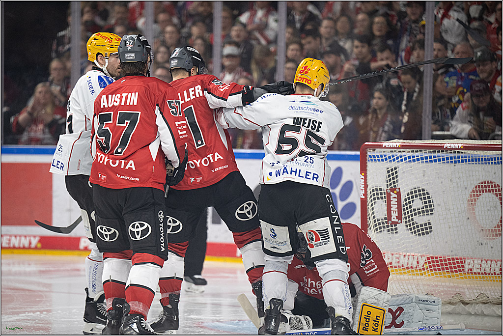 PENNY DEL 1 - Playoff Viertelfinale; Kölner Haie - Fischtown Pinguins Bremerhaven; Köln, 24.03.2025