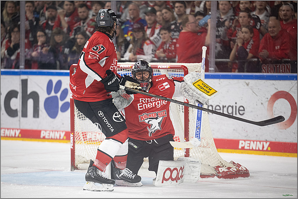 PENNY DEL 1 - Playoff Viertelfinale; Kölner Haie - Fischtown Pinguins Bremerhaven; Köln, 24.03.2025