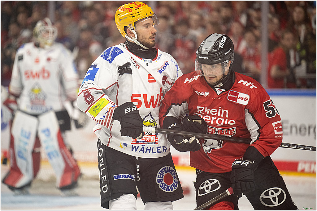 PENNY DEL; Koelner Haie- Fischtown Bremerhaven; Koeln, 24.03.2025