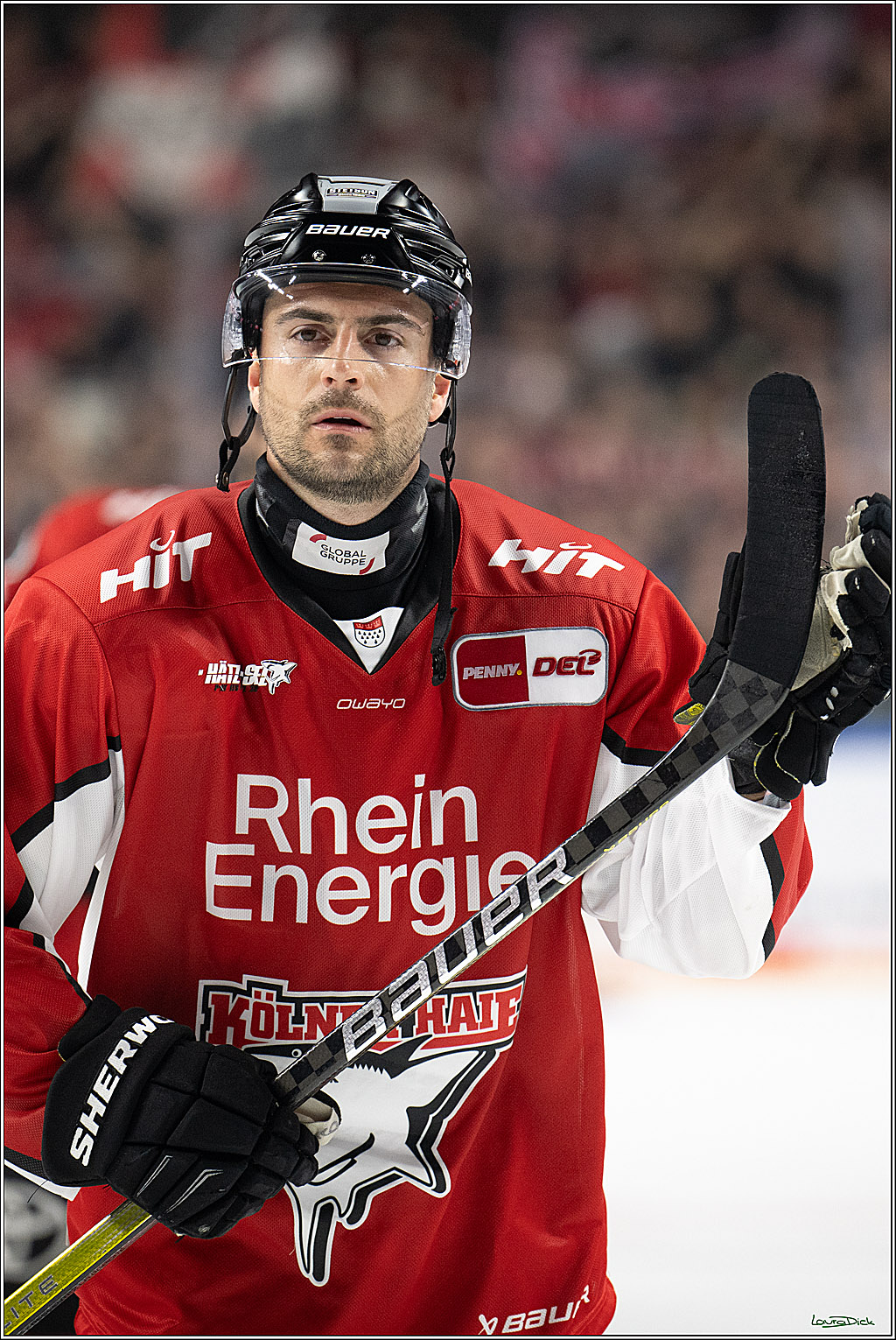 PENNY DEL; Koelner Haie- Fischtown Bremerhaven; Koeln, 24.03.2025