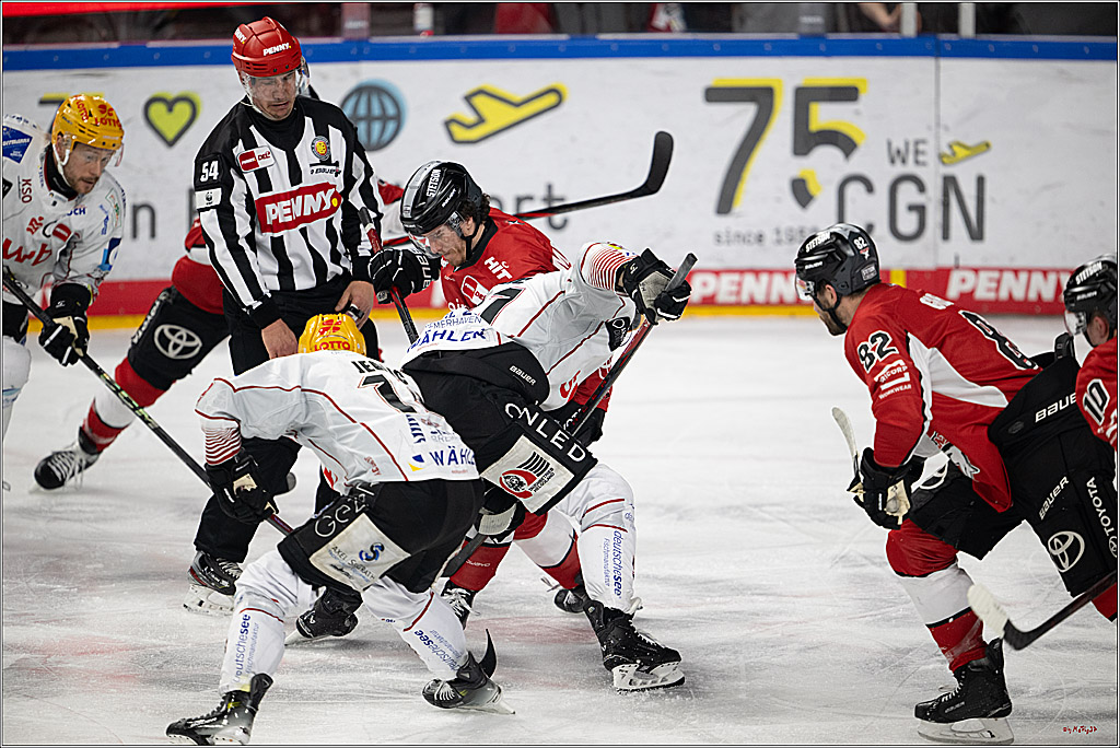 PENNY DEL 1 - Playoff Viertelfinale; Kölner Haie - Fischtown Pinguins Bremerhaven; Köln, 28.03.2025