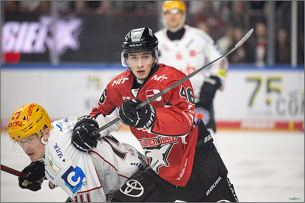PENNY DEL 1 - Playoff Viertelfinale; Kölner Haie - Fischtown Pinguins Bremerhaven; Köln, 28.03.2025