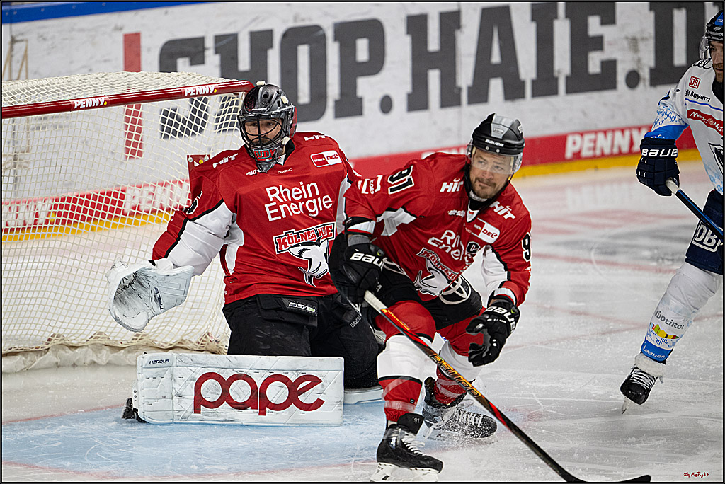 PENNY DEL 1 - Playoff Halbfinale; Kölner Haie - ERC Ingolstadt; Köln, 04.04.2025