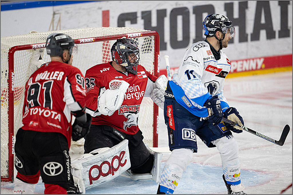 PENNY DEL 1 - Playoff Halbfinale; Kölner Haie - ERC Ingolstadt; Köln, 04.04.2025