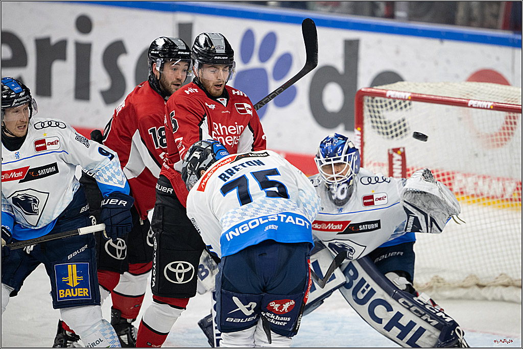 PENNY DEL 1 - Playoff Halbfinale; Kölner Haie - ERC Ingolstadt; Köln, 04.04.2025