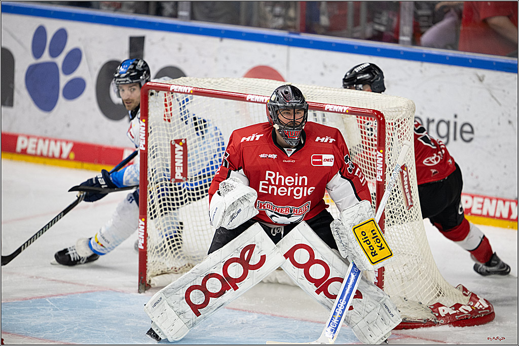 PENNY DEL 1 - Playoff Halbfinale; Kölner Haie - ERC Ingolstadt; Köln, 04.04.2025