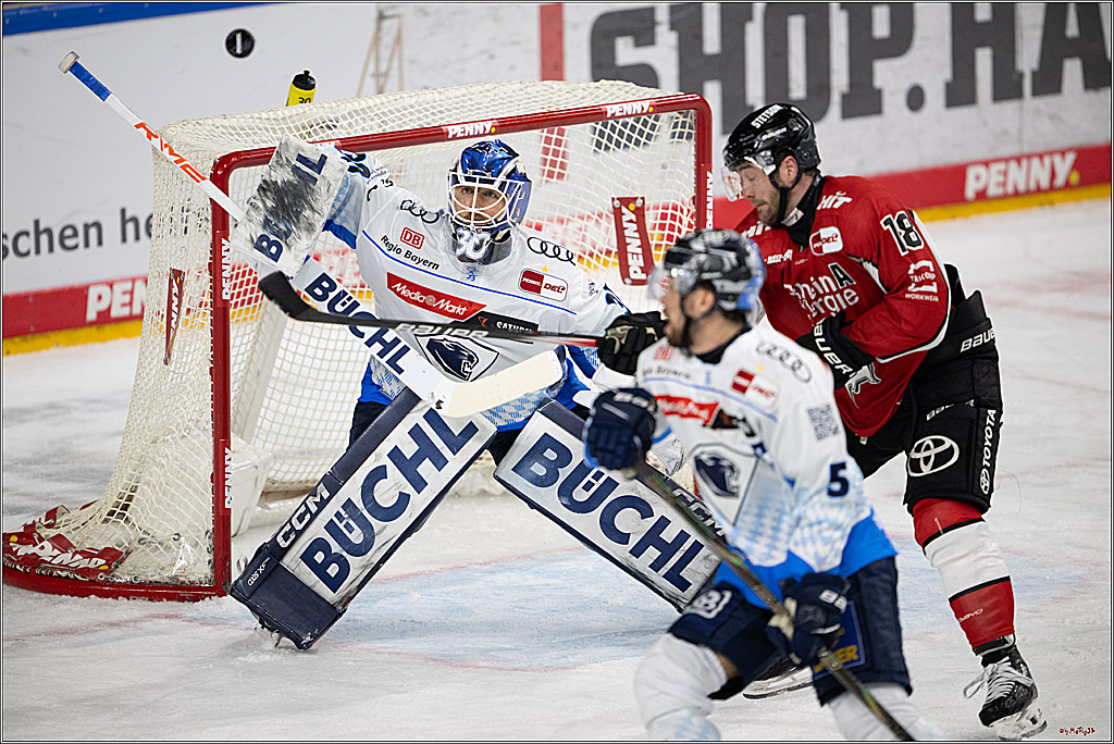 PENNY DEL 1 - Playoff Halbfinale; Kölner Haie - ERC Ingolstadt; Köln, 04.04.2025