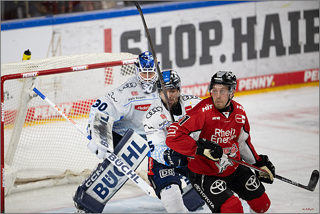 PENNY DEL 1 - Playoff Halbfinale; Kölner Haie - ERC Ingolstadt; Köln, 04.04.2025