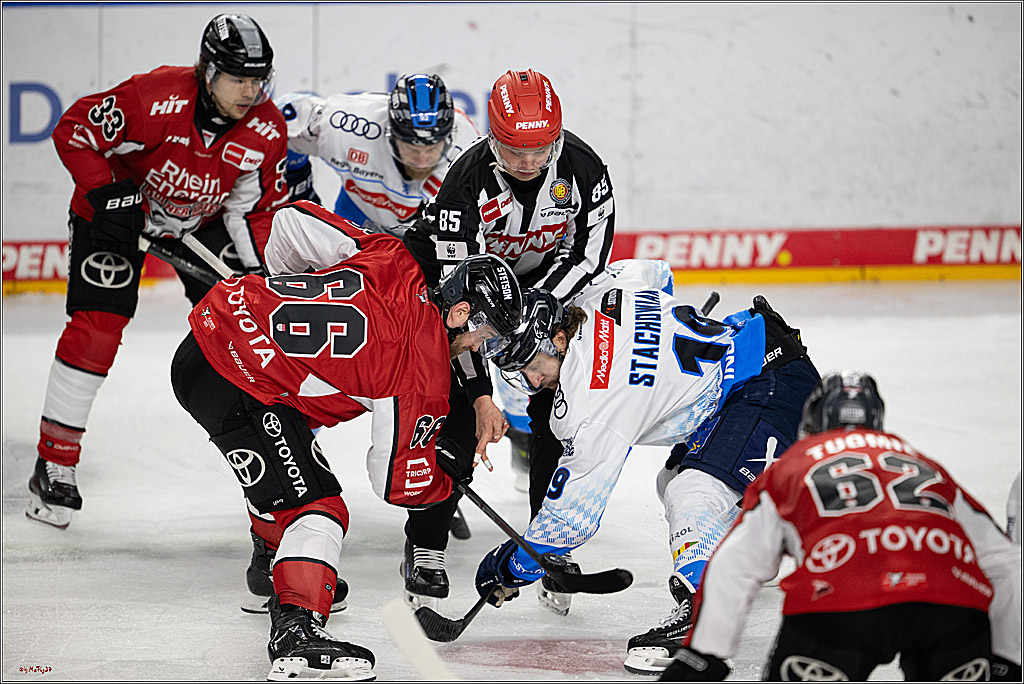 PENNY DEL 1 - Playoff Halbfinale; Kölner Haie - ERC Ingolstadt; Köln, 04.04.2025