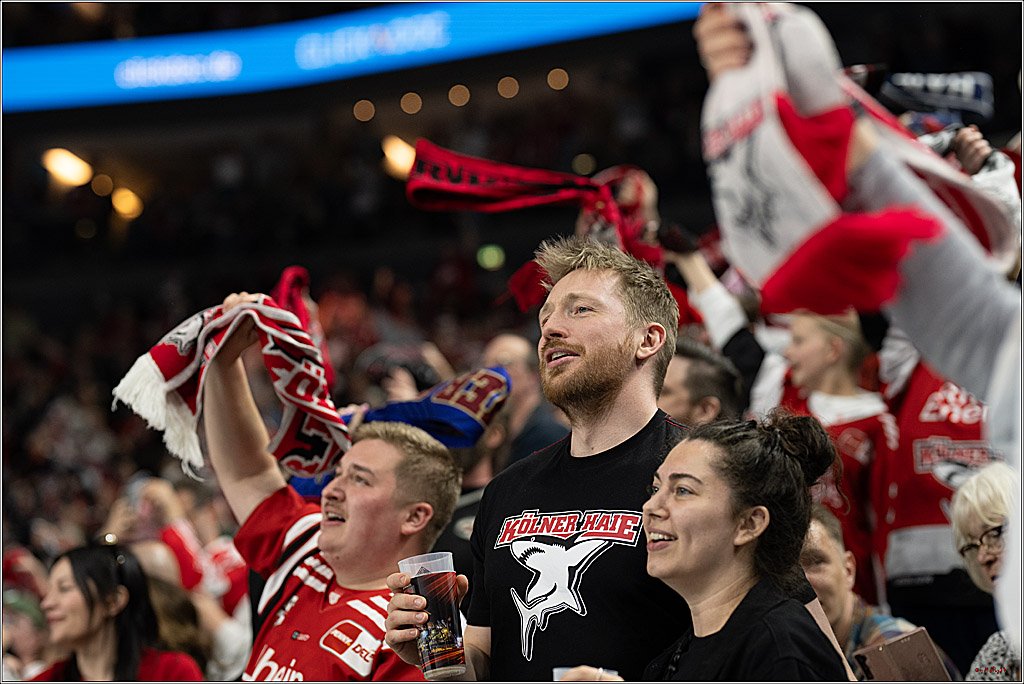 PENNY DEL 1 - Playoff Halbfinale; Kölner Haie - ERC Ingolstadt; Köln, 04.04.2025