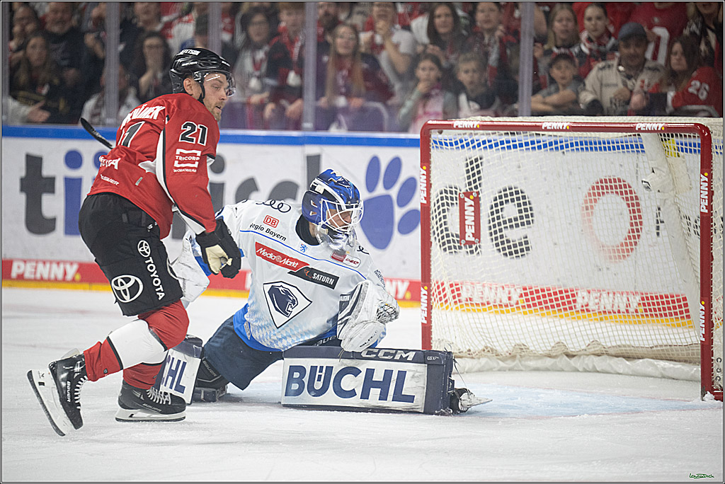 PENNY DEL 1 - Playoff Halbfinale; Kölner Haie - ERC Ingolstadt; Köln, 04.04.2025