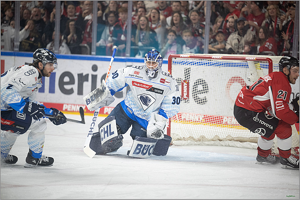 PENNY DEL 1 - Playoff Halbfinale; Kölner Haie - ERC Ingolstadt; Köln, 04.04.2025