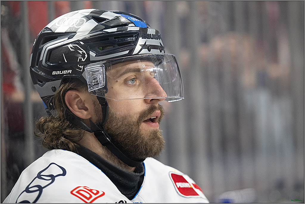 PENNY DEL; Koelner Haie- ERC Ingolstadt; Koeln, 04.04.2025